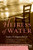 The Heiress of Water (A Novel) by Sandra Rodriguez Barron, 9780061142819