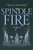 Spindle Fire - 9780062440884 by Lexa Hillyer