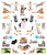 Eyelike Stickers: Kittens by Workman Publishing, 9781523502745