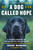 A Dog Called Hope (A Wounded Warrior and the Service Dog Who Saved Him) by Jason Morgan, Damien Lewis, 9781476797014
