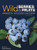 Wild Berries & Fruits Field Guide of Minnesota, Wisconsin & Michigan (Miniature Edition) by Teresa Marrone, 9781591937968