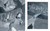 Snow White: A Graphic Novel - 9781536200553 by Matt Phelan, Matt Phelan