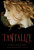 Tantalize by Cynthia Leitich Smith, 9780763640590