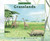 About Habitats: Grasslands ((A Classroom-Friendly Science Resource for Exploring Grassland Ecosystems for Preschoolers, 1st and 2nd Graders)) by Cathryn Sill, John Sill, 9781682630341