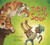 Tiger in My Soup by Kashmira Sheth, Jeffrey Ebbeler, 9781561458905