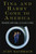 Tina and Harry Come to America (Tina Brown, Harry Evans, and the Uses of Power) by Judy Bachrach, 9781476766935