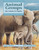 Animal Groups (How Animals Live Together) by Etta Kaner, Pat Stephens, 9781553373384