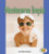 Mantenerse limpio (Staying Clean) by Robin Nelson, 9780822531678