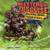 Masters of Disguise (Amazing Animal Tricksters) by Rebecca L. Johnson, 9781512400878