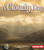 A Cloudy Day by Robin Nelson, 9780822519614