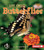 Butterflies - 9780822545996 by Melanie Mitchell