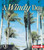 A Windy Day by Robin Nelson, 9780822519638