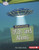 Mysterious UFOs and Aliens by Karen Latchana Kenney, 9781512434064