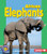 African Elephants by Shannon Knudsen, 9780822558392