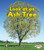 Look at an Ash Tree by Patricia M. Stockland, 9781467705264