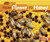From Flower to Honey by Robin Nelson, 9780761385745