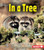 In a Tree by Jennifer Boothroyd, 9780822556633