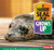 A Harbor Seal Pup Grows Up by Joan Hewett, Richard Hewett, 9780822500926