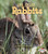 Rabbits - 9780822546054 by Melanie Mitchell