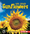Sunflowers - 9780761341215 by Robin Nelson