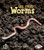 Worms - 9780761341109 by Robin Nelson