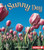 A Sunny Day by Robin Nelson, 9780822519652