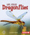 Dragonflies - 9780761341048 by Robin Nelson