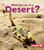 What Can Live in a Desert? by Sheila Anderson, 9780761356745
