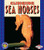 Clinging Sea Horses by Judith Jango-Cohen, 9780822537670 Clinging Sea Horses by Judith Jango-Cohen, 9780822537670