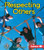 Respecting Others by Robin Nelson, 9780822513230