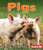 Pigs - 9780761341000 by Robin Nelson