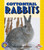 Cottontail Rabbits by Kristin Ellerbusch Gallagher, 9780822536239