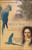 Spix's Macaw (The Race to Save the World's Rarest Bird) by Tony Juniper, 9780743475518