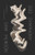 Dog Symphony by Sam Munson, 9780811227681