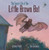 The Secret Life of the Little Brown Bat by Laurence Pringle, Kate Garchinsky, 9781629796017