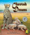 Cheetah Dreams by Linda Stanek, Shennen Bersani, 9781607187417