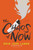 The Chaos of Now by Erin Jade Lange, 9781619635029