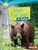 Forest Food Webs in Action by Paul Fleisher, 9781467715539