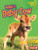 Meet a Baby Cow - 9781512407983 by Buffy Silverman, 9781512407983