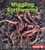 Wiggling Earthworms - 9781512408782 by Laura Hamilton Waxman, 9781512408782