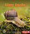 Slimy Snails - 9781512412222 by Laura Hamilton Waxman, 9781512412222