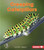 Creeping Caterpillars - 9781512412178 by Robin Nelson