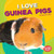 I Love Guinea Pigs - 9781512414165 by Harold T. Rober