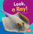 Look, a Ray! - 9781512415070 by Tessa Kenan