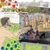 Joining the Dots (The Art of Seurat) - 9781925234992 by In-sook Kim, Se-yeon Jeong, 9781925234992