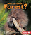 What Can Live in a Forest? by Sheila Anderson, 9780761356752