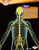 Your Nervous System - 9780761374503 by Joelle Riley, 9780761374503