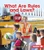 What Are Rules and Laws? - 9781467786171 by Jennifer Boothroyd