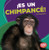 ¡Es un chimpancé! (It's a Chimpanzee!) (Spanish Edition) by Tessa Kenan, 9781512454093