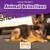 Animal Detectives - 9781634403641 by Wiley Blevins, 9781634403641